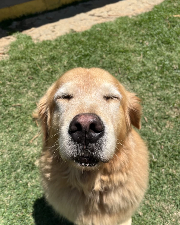 Reabilitação comportamental (6)