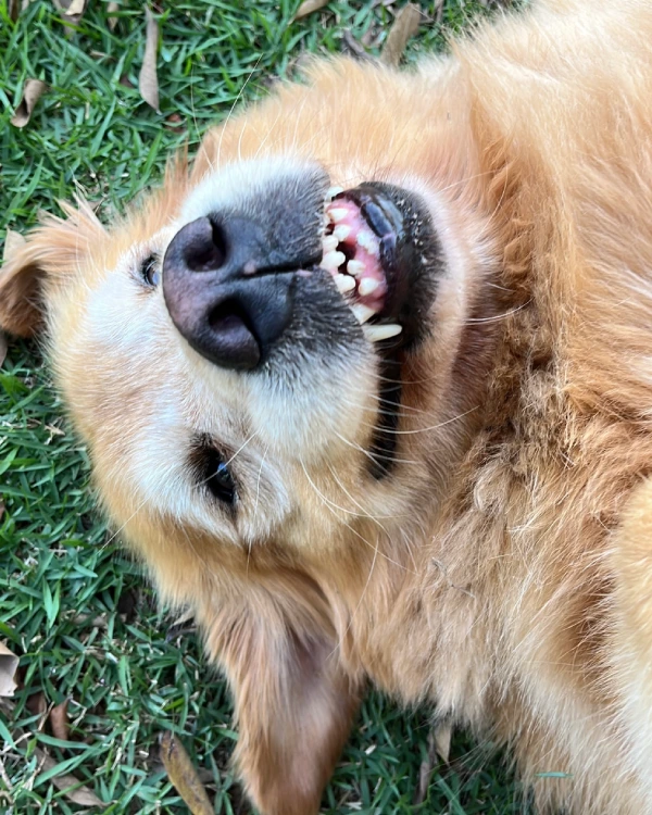 Reabilitação comportamental (7)