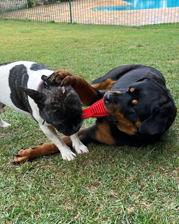 Dra Bianca Satana (2)